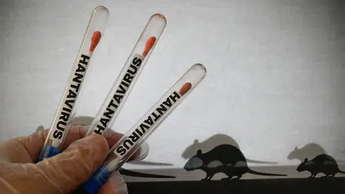 Hantavirüs Türkiye karantina bölgeleri neresi, kaç kişi karantinaya alındı, evde karantina başladı mı?