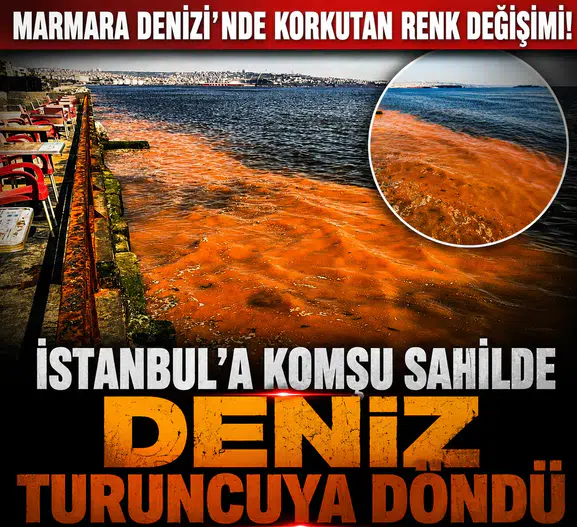 Marmara Denizi’nde Korkutan Renk Değişimi! İstanbul’a Komşu Sahilde Deniz Turuncuya Döndü
