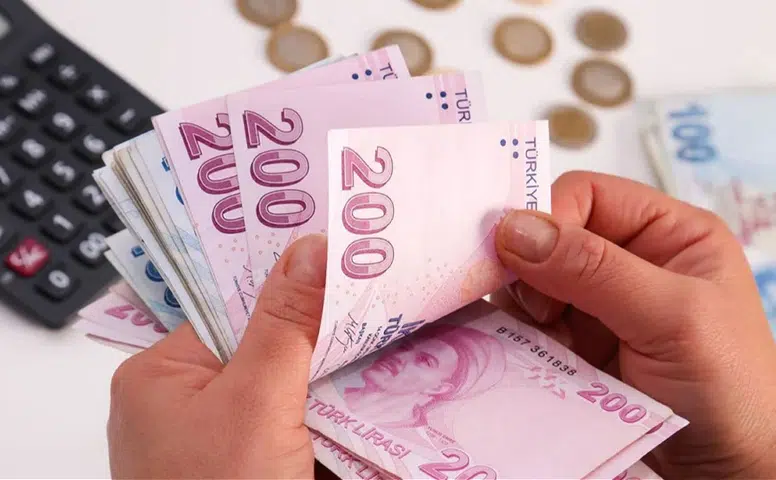 GETAD 2026 Destek Miktarı Ne Kadar, Hangi Aileler Yararlanabilecek? Kişi Başı Gelir Hesabı Nasıl Yapılır?