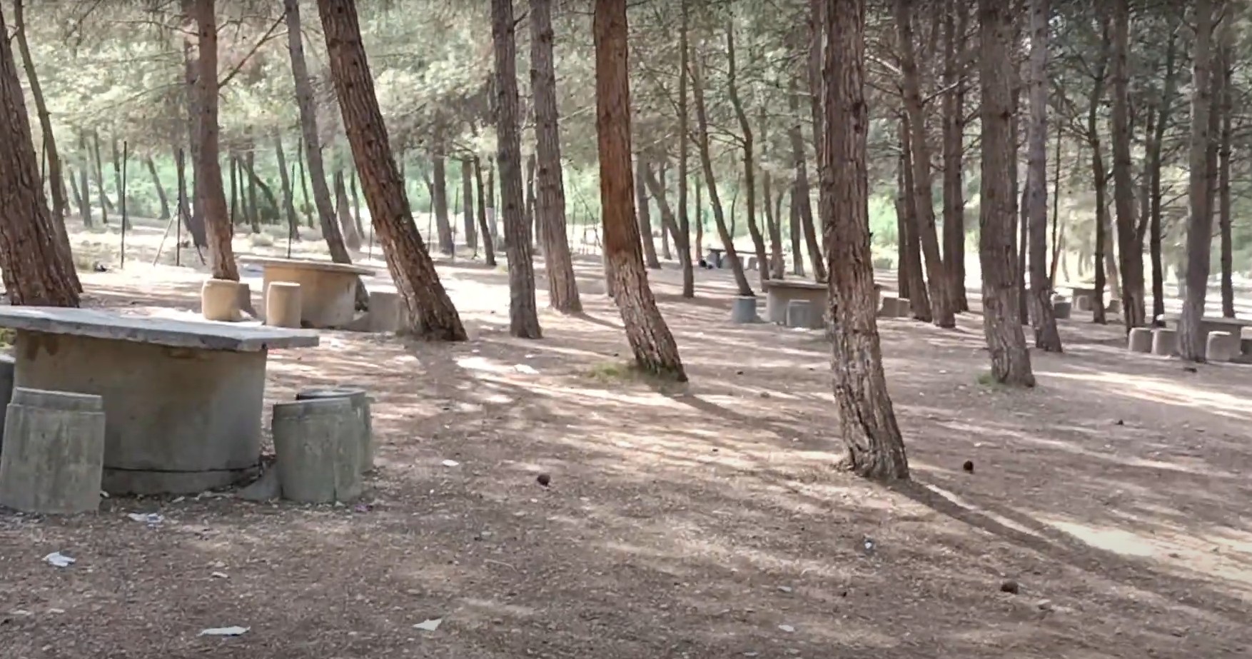 Sarnıç Gölet Piknik Alanı