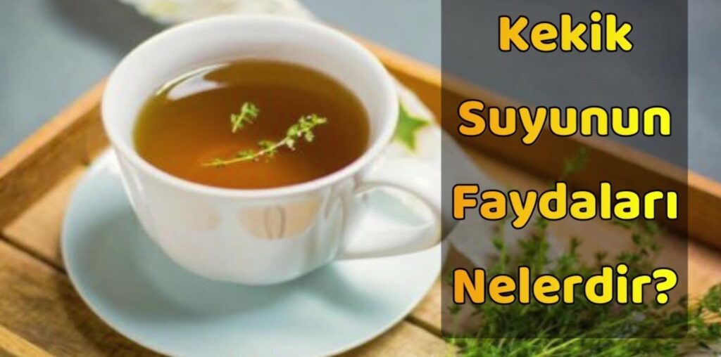 Kekik Suyunun Faydaları Nelerdir