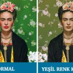 Renk Körlüğü
