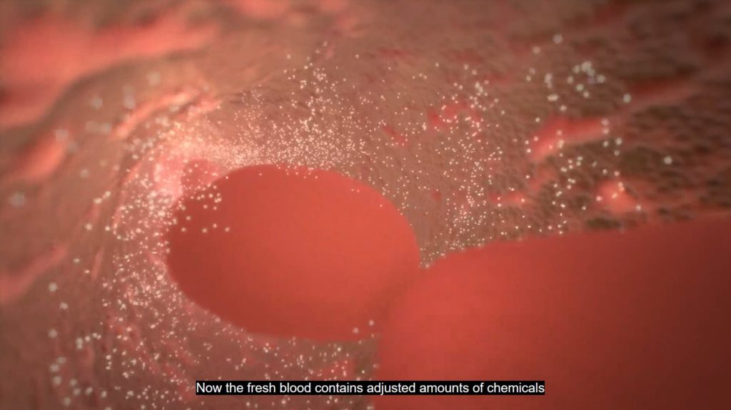 now the fresh blood contains adjusted amounts of chemicals