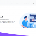 e-ticaret seo