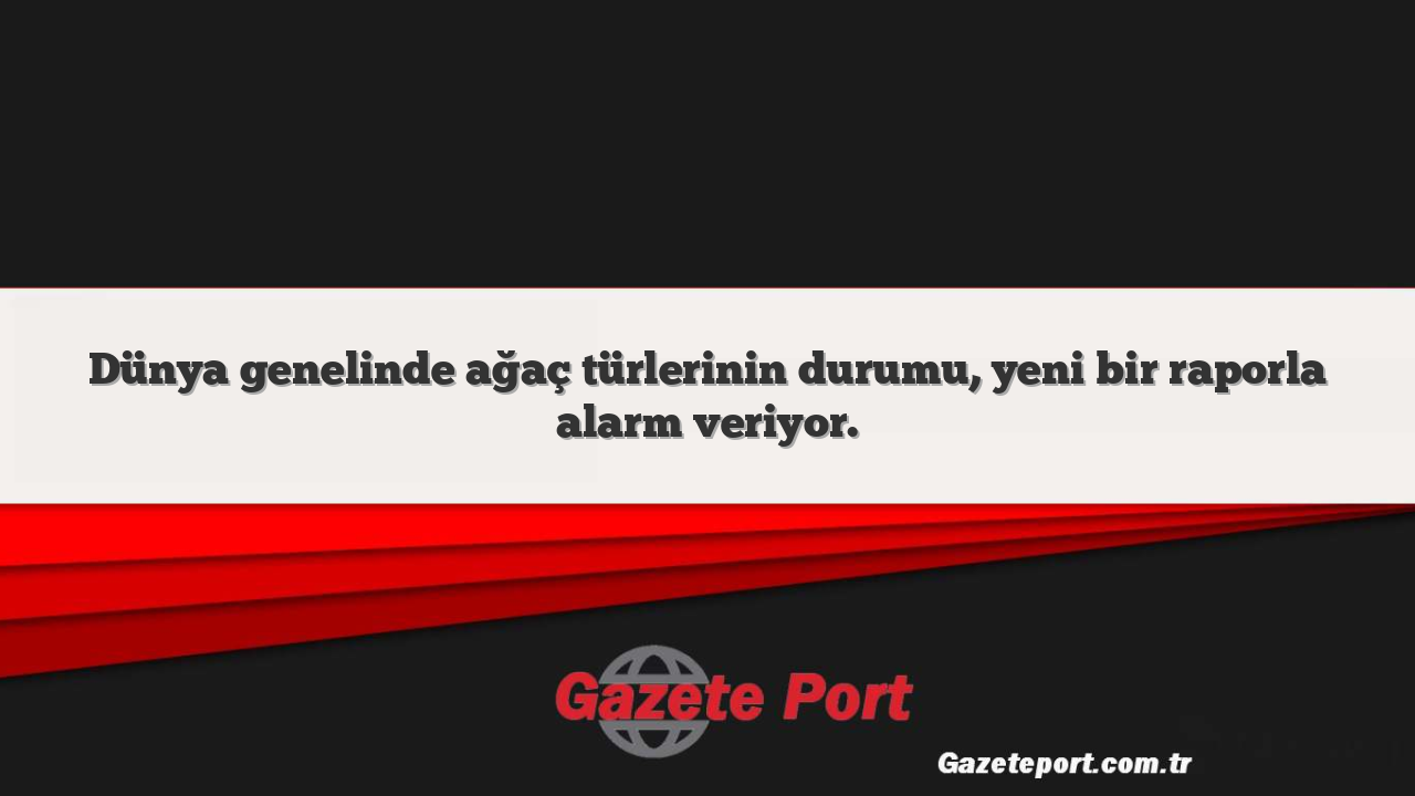 Dünya genelinde ağaç türlerinin durumu, yeni bir raporla alarm veriyor.