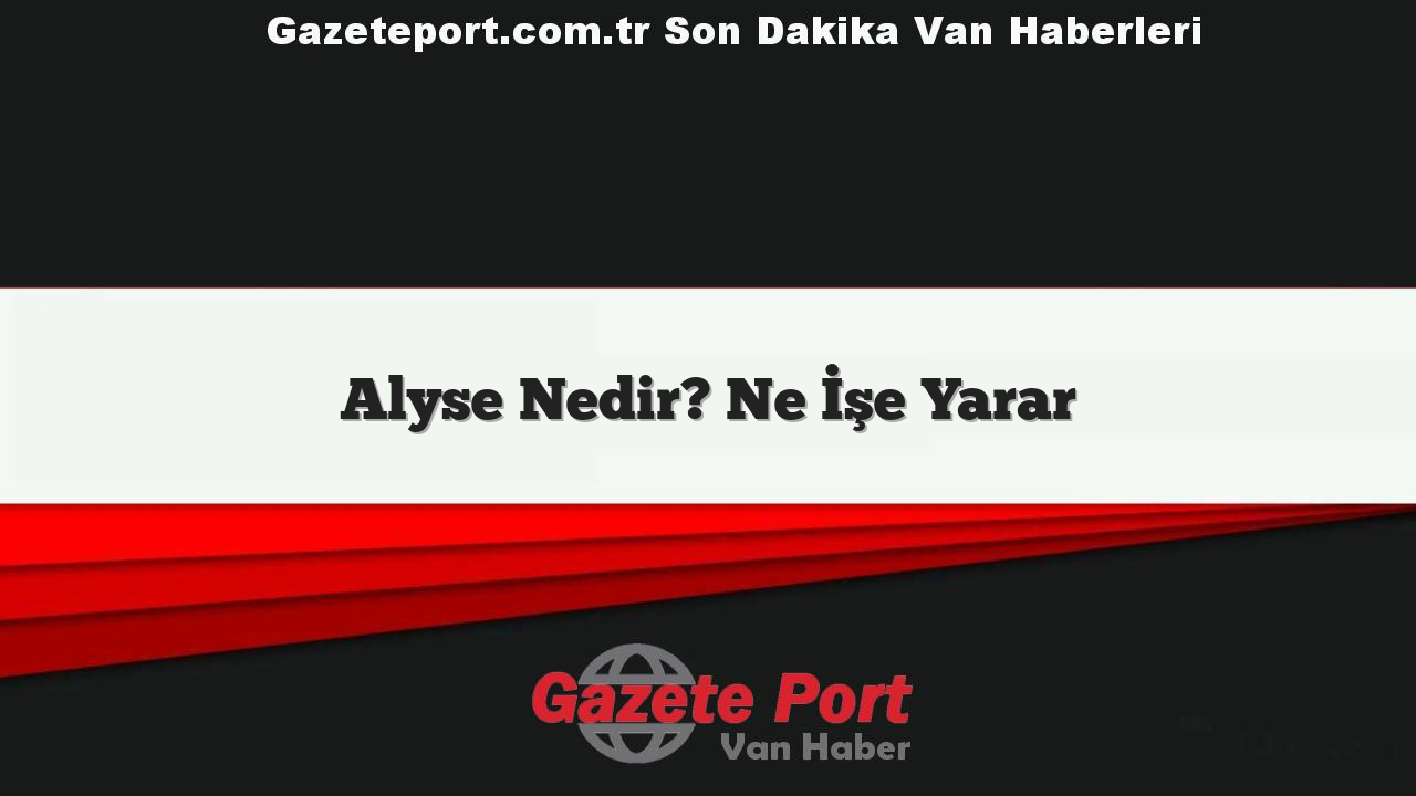 Alyse Nedir? Ne İşe Yarar