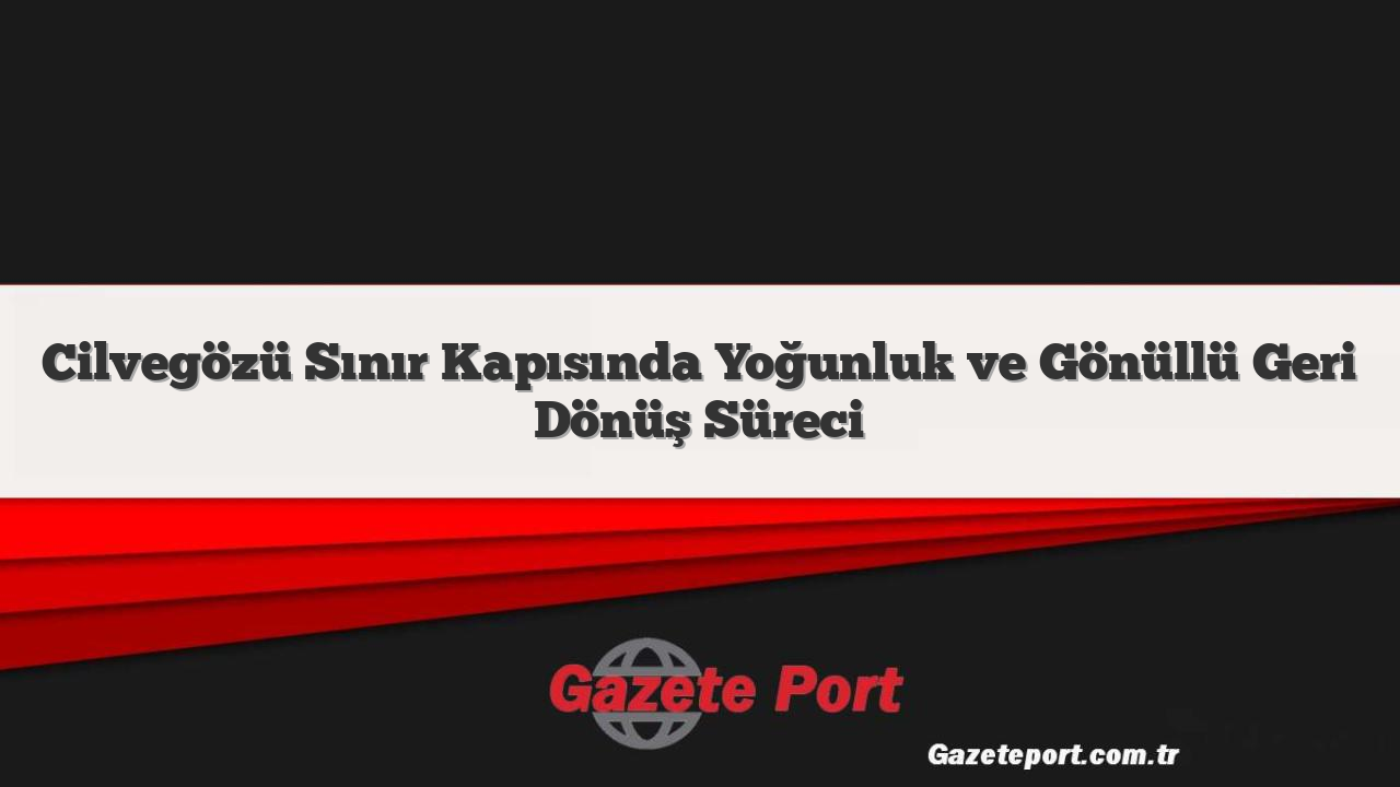 Cilvegözü Sınır Kapısında Yoğunluk ve Gönüllü Geri Dönüş Süreci