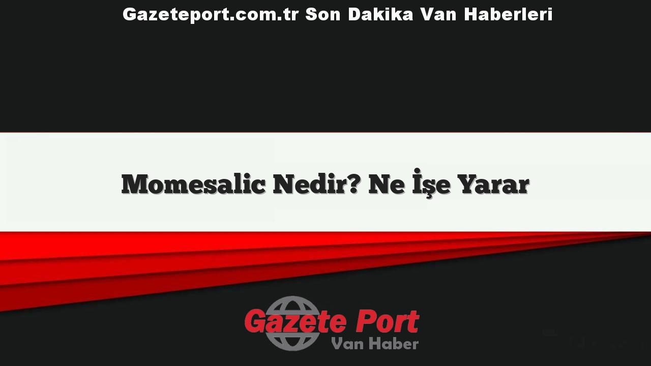 Momesalic Nedir? Ne İşe Yarar