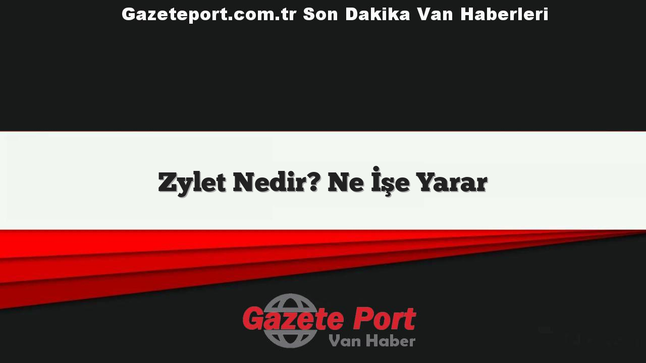 Zylet Nedir? Ne İşe Yarar