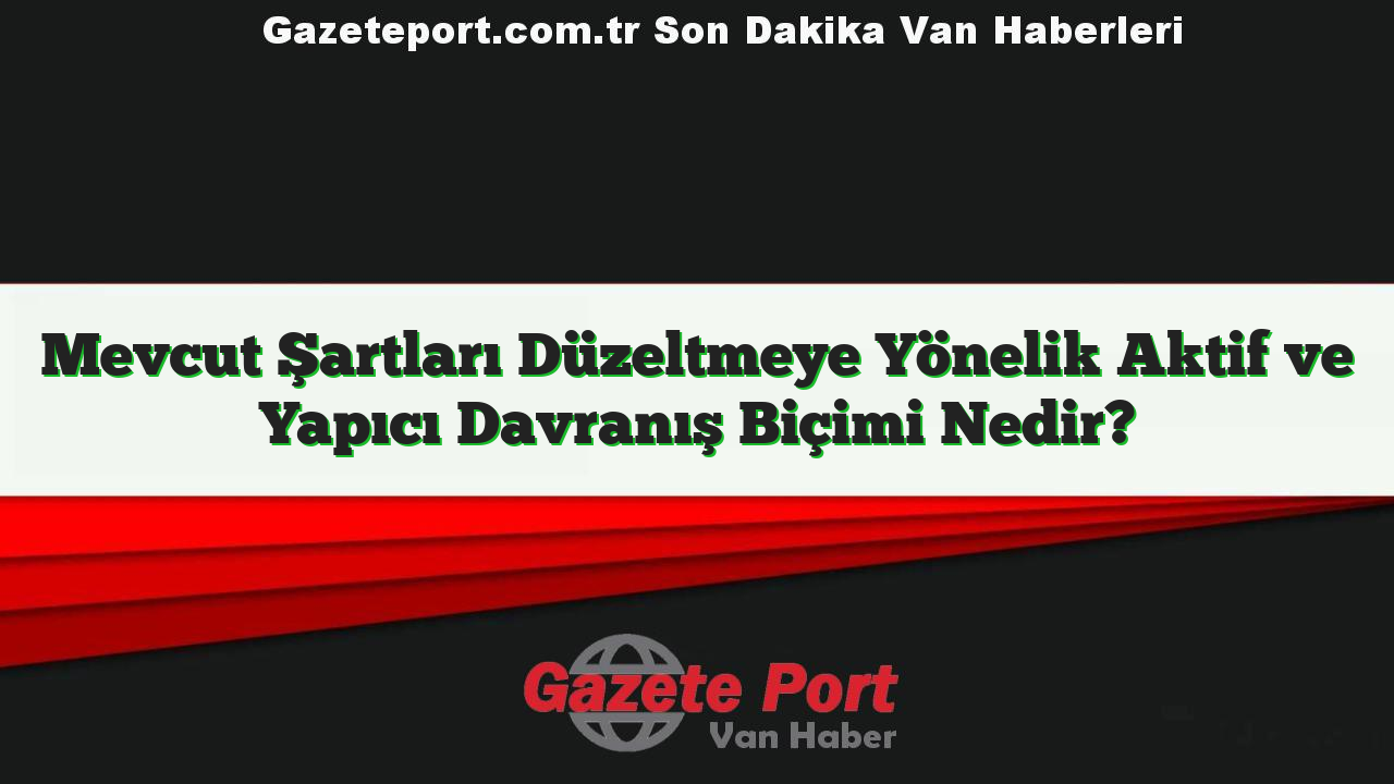 Mevcut Şartları Düzeltmeye Yönelik Aktif ve Yapıcı Davranış Biçimi Nedir?