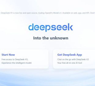 deepseek.com