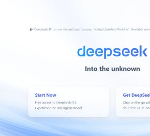 deepseek-Ai