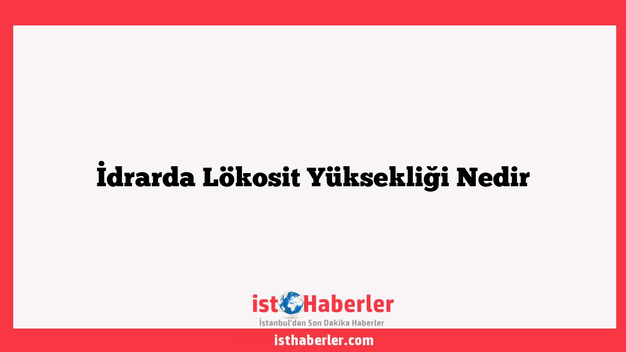 İdrarda Lökosit Yüksekliği Nedir