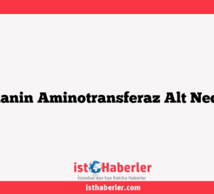 Alanin Aminotransferaz Alt Nedir