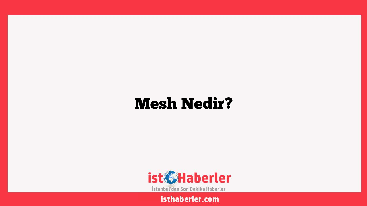 Mesh Nedir?