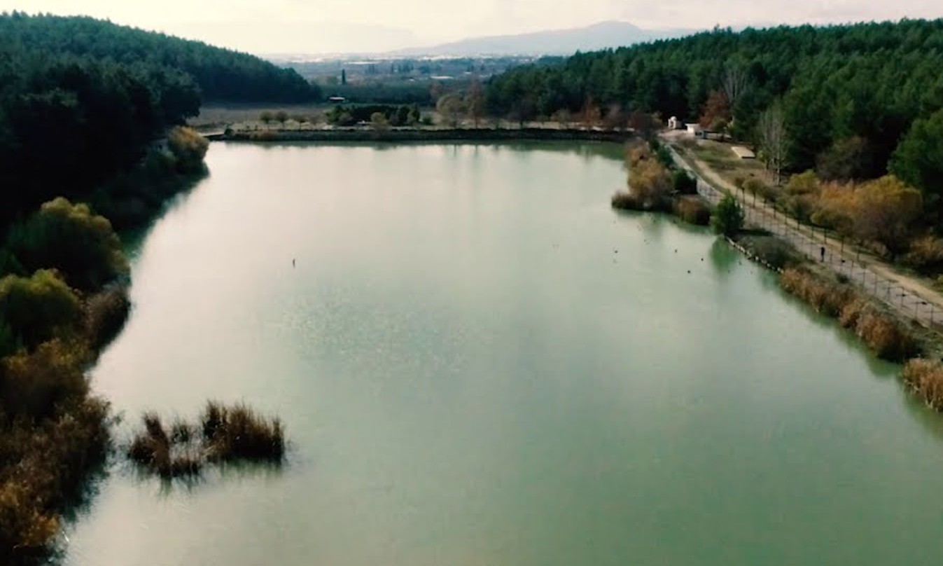 Şehirden Kaçışın En Güzel Yolu: Sarnıç Gölet Piknik Alanı’nda Keyifli Bir Gün