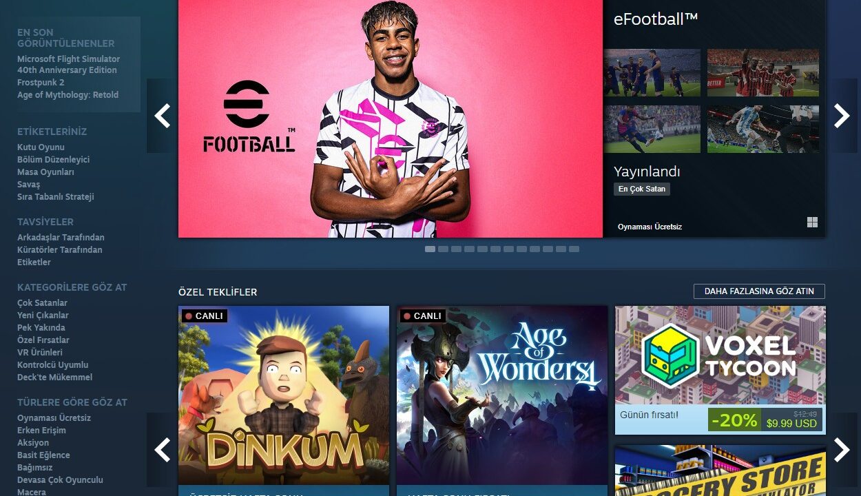 steam