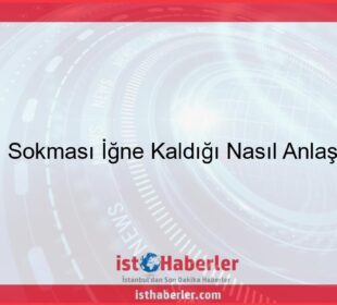 Arı Sokması İğne Kaldığı Nasıl Anlaşılır - Görseli