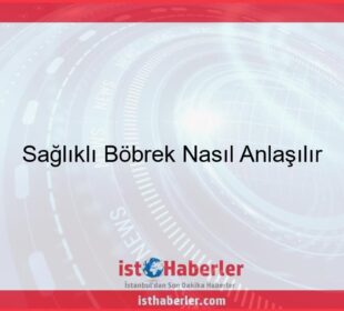 Sağlıklı Böbrek Nasıl Anlaşılır - Görseli