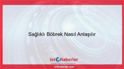 Sağlıklı Böbrek Nasıl Anlaşılır - Görseli