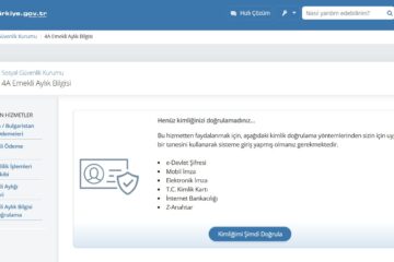 Emekliler e-Devlet’e Hücum Etti: SGK Hizmetlerinde Rekor Kullanım!