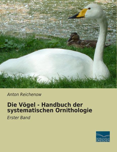 Anton Reichenow (1847–1941), Alman ornitolog