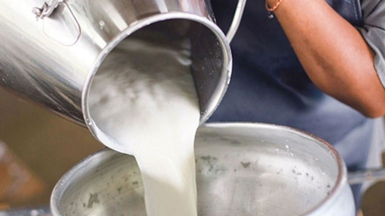 Çiğ Süt Üreticilerine Müjde: 2025 İkinci Çeyrek Destekleri Hesaplara Geçiyor!