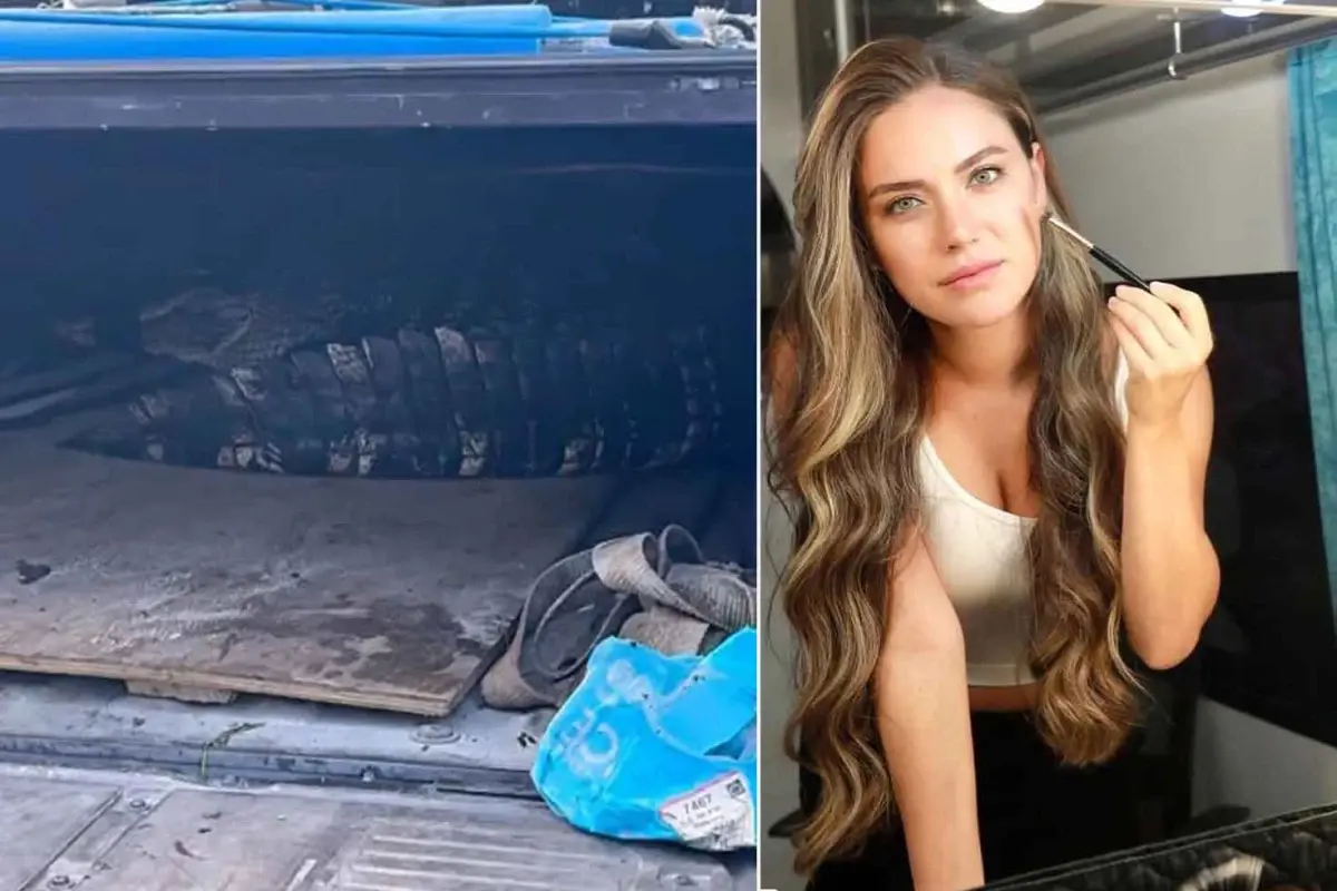 Oyuncu Ceyda Ateş, ABD’de yaşadığı sitede bir timsahın yakalandığını sosyal