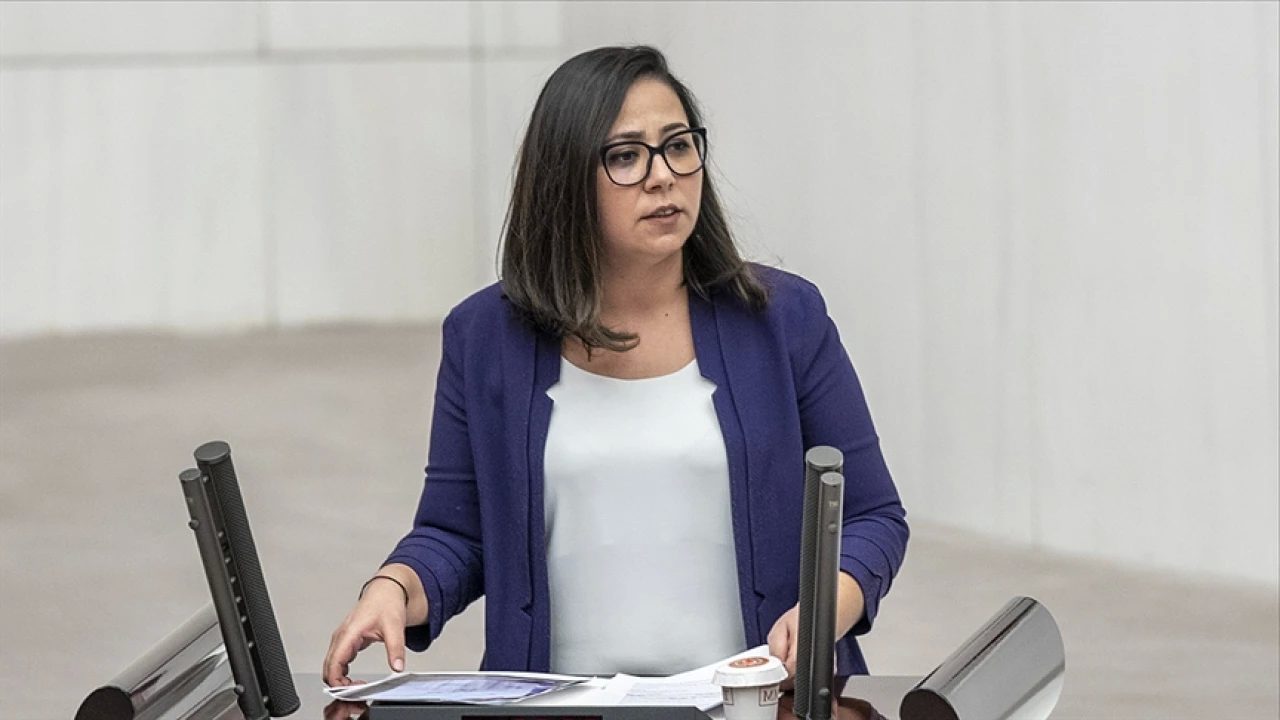 Sera Kadıgil Kimdir? Siyaset Sahnesindeki Gizemli İsim Mercek Altında Türkiye