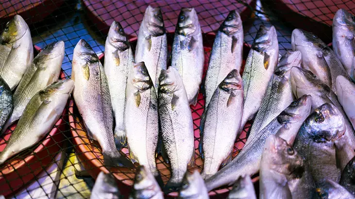 Soğuk havaların kendini hissettirmesiyle birlikte Türkiye’nin dört bir yanındaki sofralarda