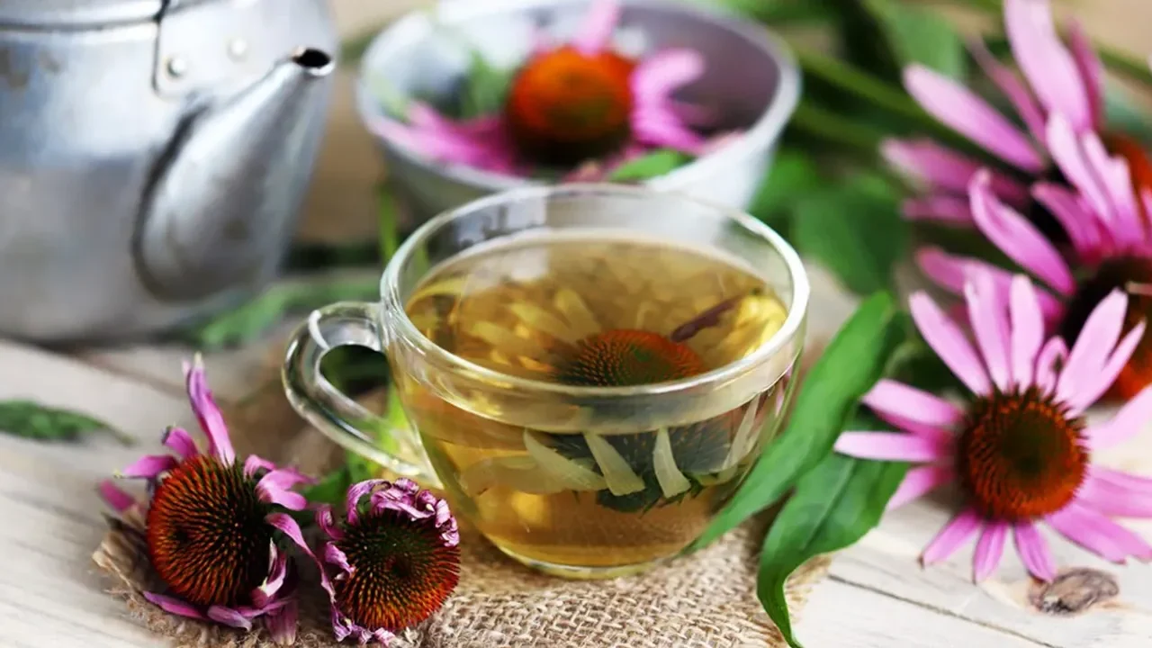 Mevsim geçişlerinde sürekli halsiz mi hissediyorsunuz? Boğazınız yanıyor, sık sık