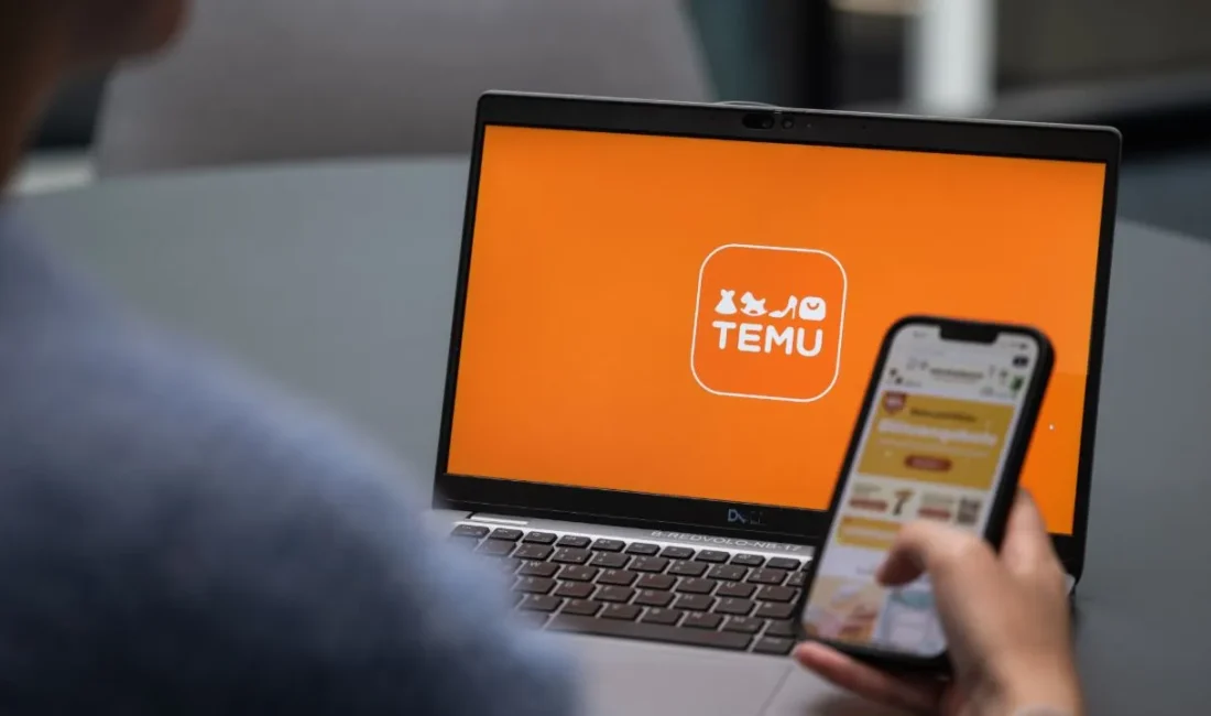 Türkiye'de son yıllarda popülerliği hızla artan Temu ve benzeri yurt