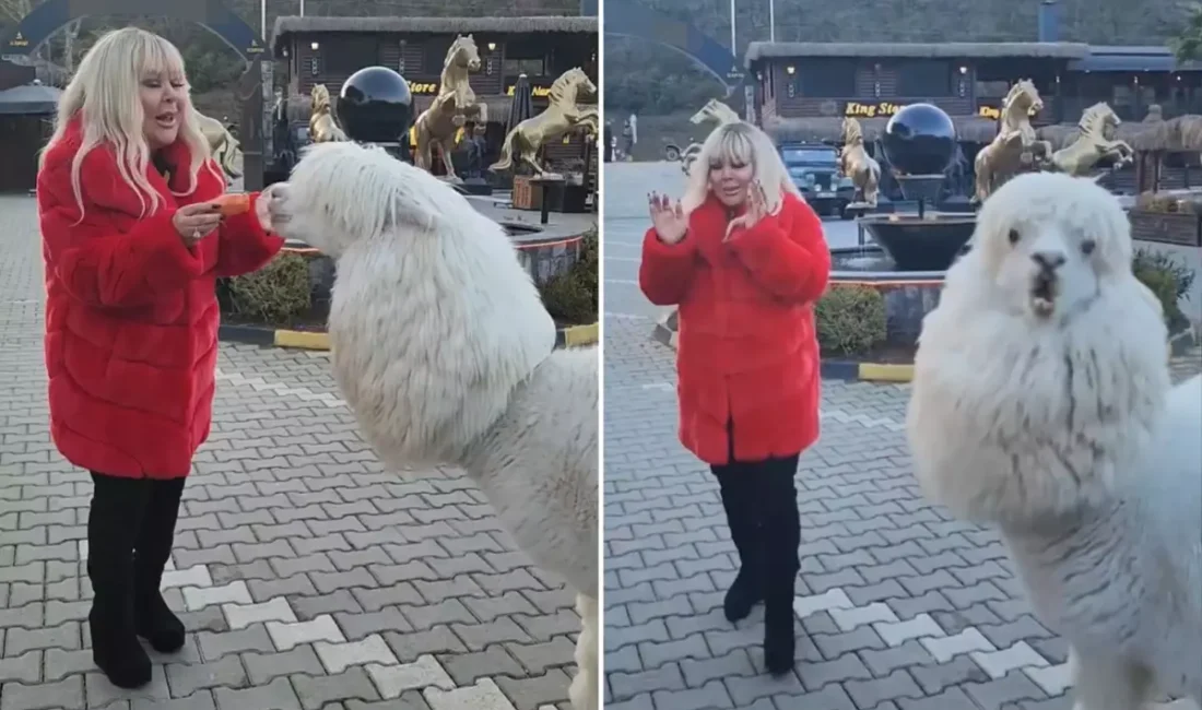 Ünlü şarkıcı Safiye Soyman, hafta sonu kaçamağında yaşadığı beklenmedik bir