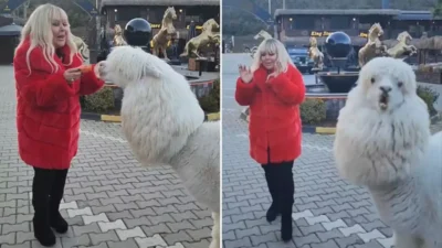 Ünlü şarkıcı Safiye Soyman, hafta sonu kaçamağında yaşadığı beklenmedik bir