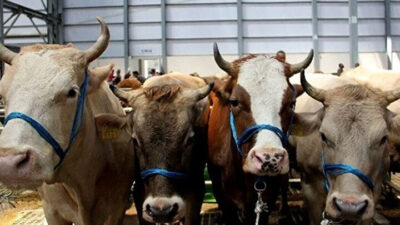 Ramazan Bayramı’nın ardından milyonlarca kişi gözünü yılın ikinci büyük dinî