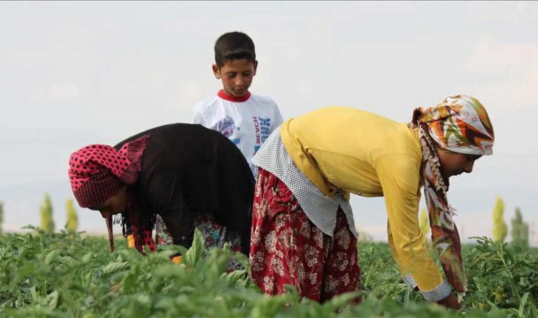 Kiler Holding A.Ş. (KLRHO), halka arz sürecine ilişkin yaptığı açıklamayla