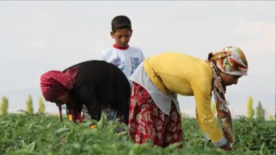 Kiler Holding A.Ş. (KLRHO), halka arz sürecine ilişkin yaptığı açıklamayla