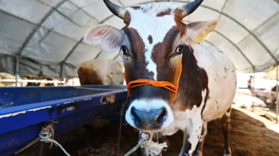 Ramazan Bayramı’nın tamamlanmasının ardından milyonlarca kişi gözünü yılın ikinci büyük