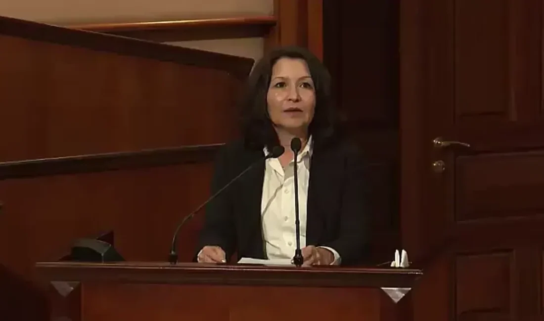 Anayasa hukuku ve insan hakları hukuku alanındaki akademik çalışmalarıyla öne