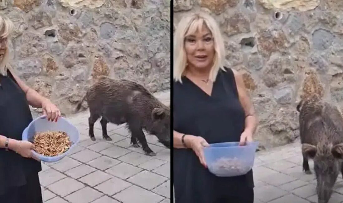 Muğla’nın Bodrum ilçesinde yaşanan sıra dışı bir an, magazin dünyasında