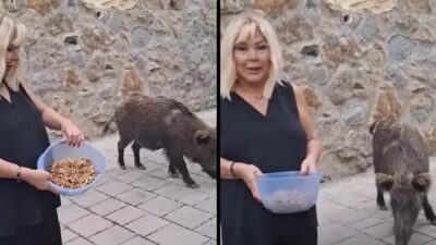 Muğla’nın Bodrum ilçesinde yaşanan sıra dışı bir an, magazin dünyasında