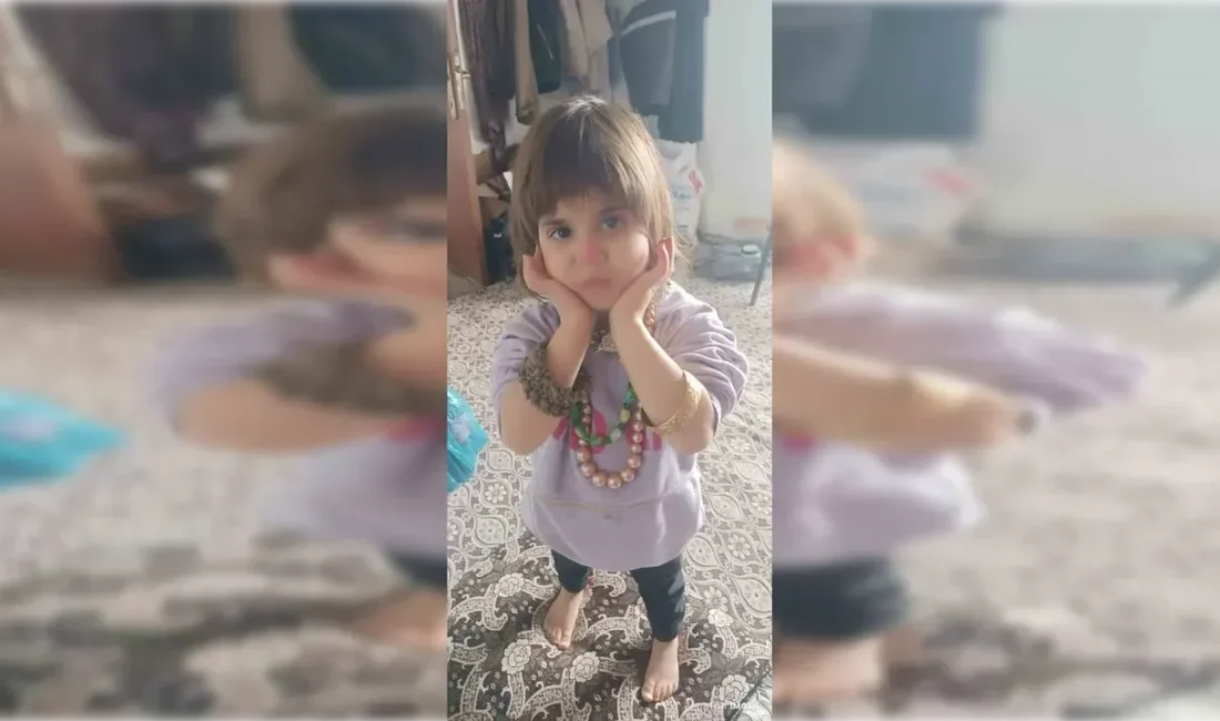 Bitlis’in Hizan ilçesine bağlı Sağınkaya köyünde dün akşam saatlerinde meydana