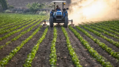 Tarım ve Orman Bakanlığı’nın hazırladığı Tarım Arazilerinin Korunması ve Kullanılması