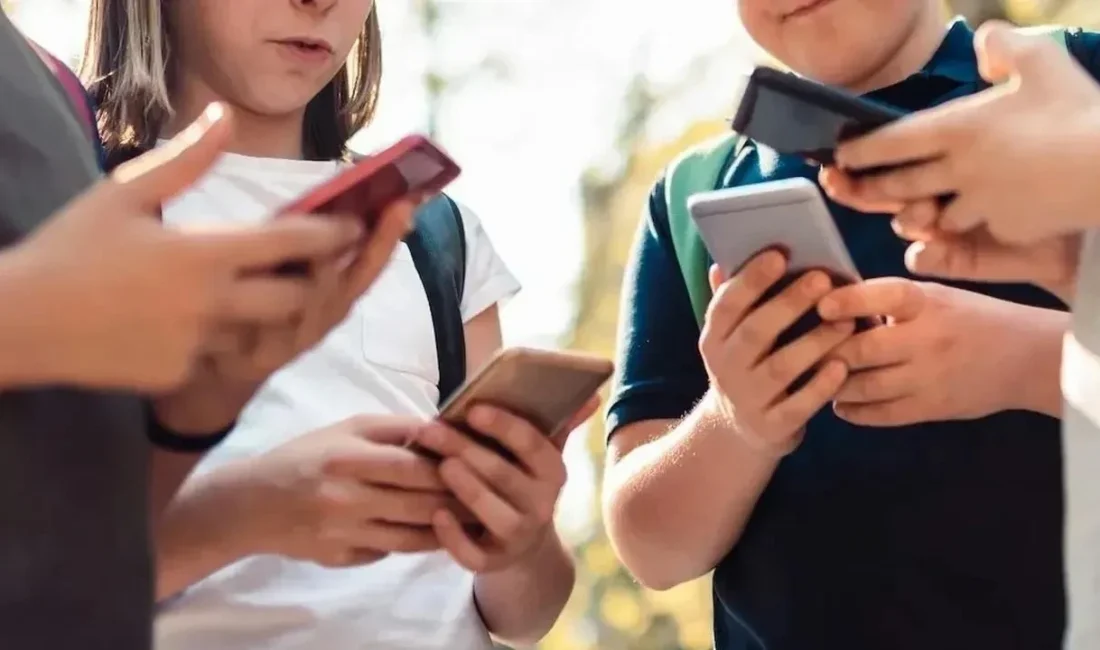 15 yaş altı sosyal medya kullanımı düzenlemesi, TBMM’de kabul edilen